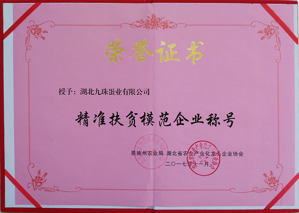 2017年精準(zhǔn)扶貧模范企業(yè)
